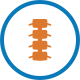Spinal injury icon