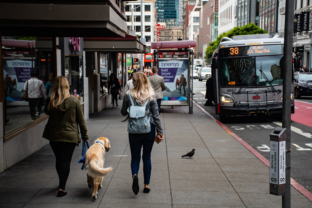 city bus on a downtown street